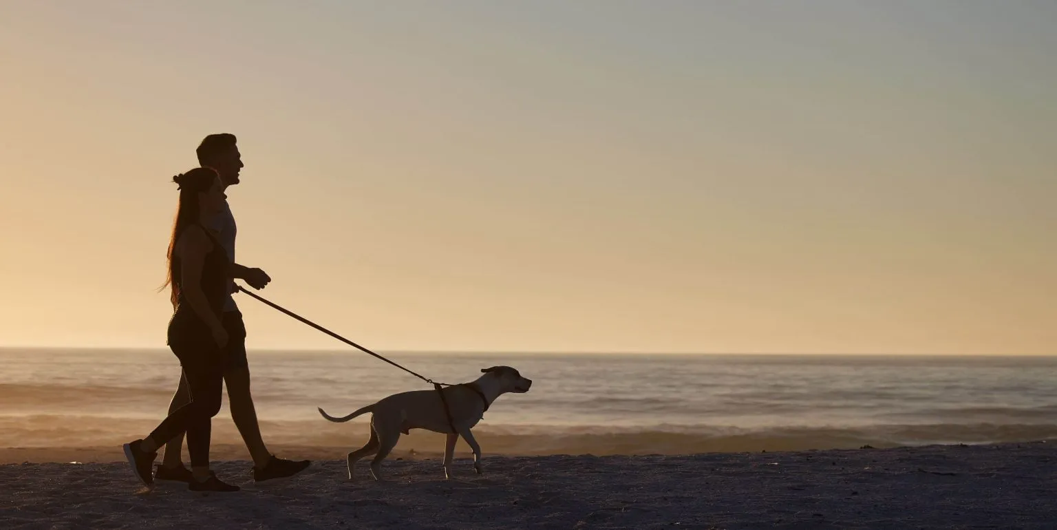 Wandelaar met een hond op het strand bij zonsondergang
