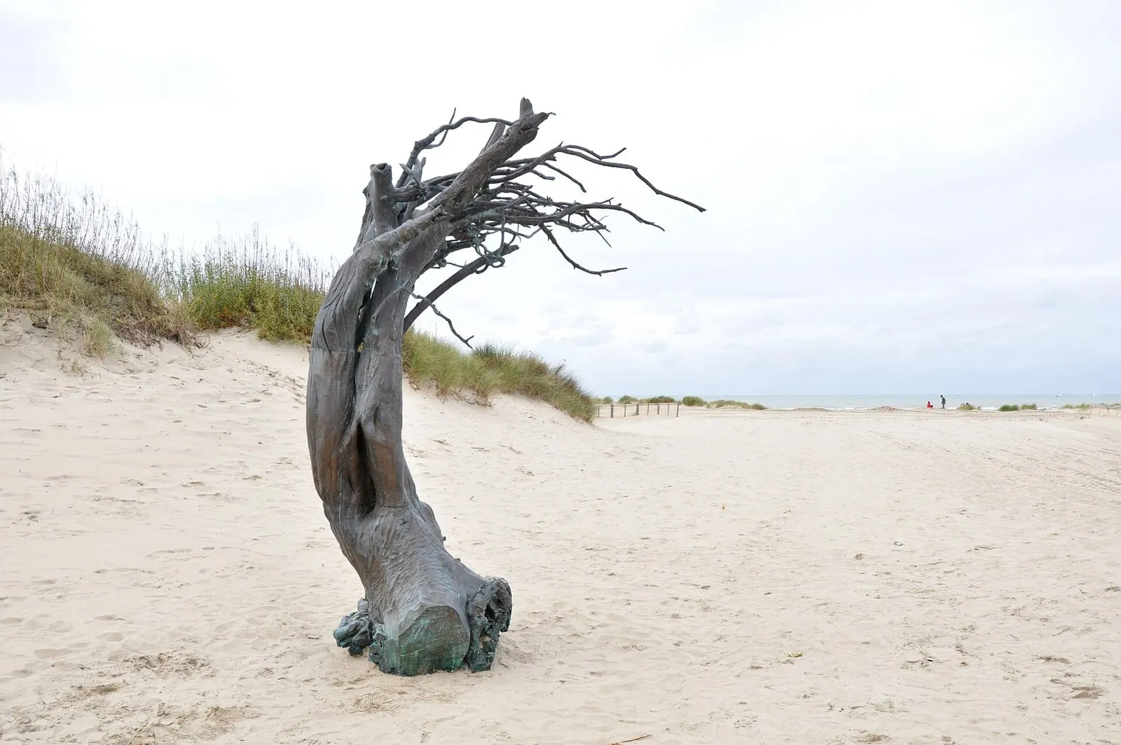 Een kronkelend bronzen kunstwerk in de vorm van een boom staat op het strand, voor de duinen