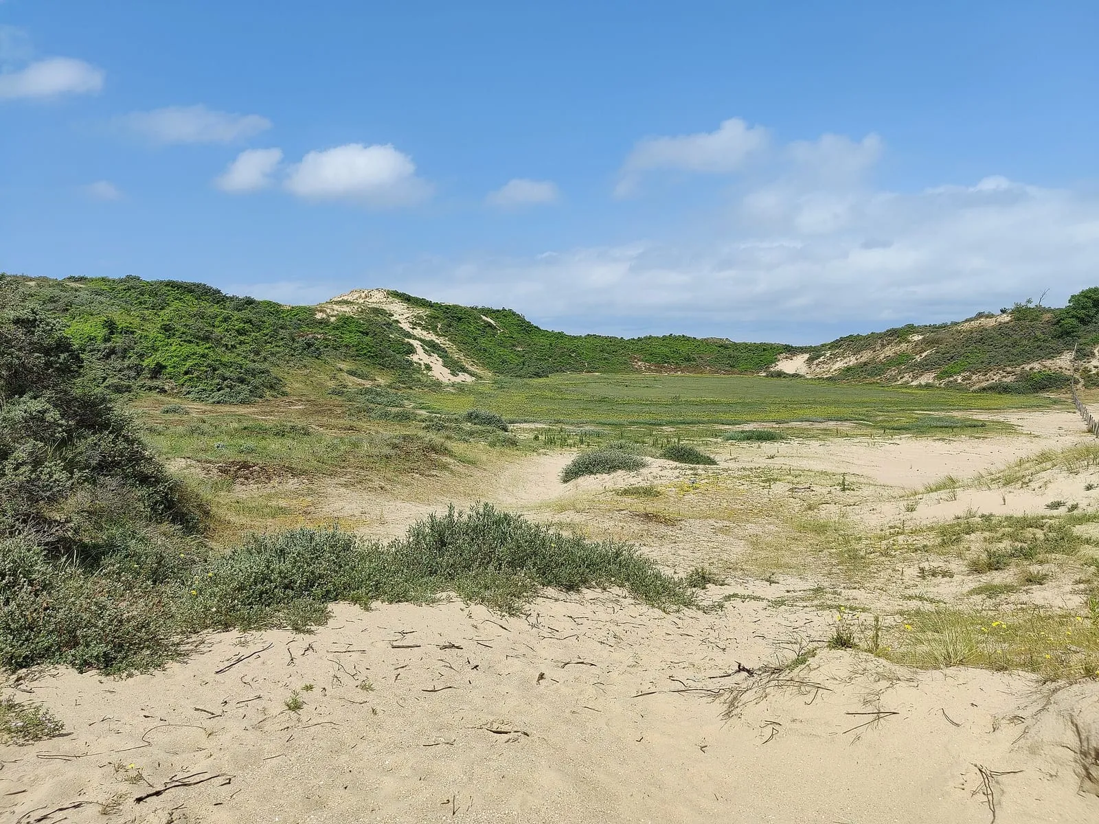 Een groen duindal met zandige hellingen en helmgras onder een blauwe lucht met wolken