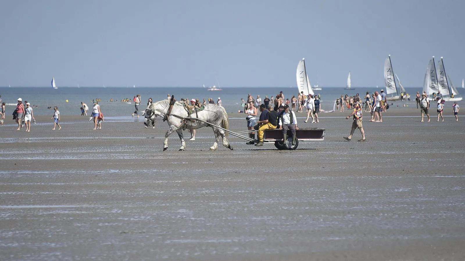 Een paard met kar op het natte strand, met wandelaars en zeilbootjes aan de horizon