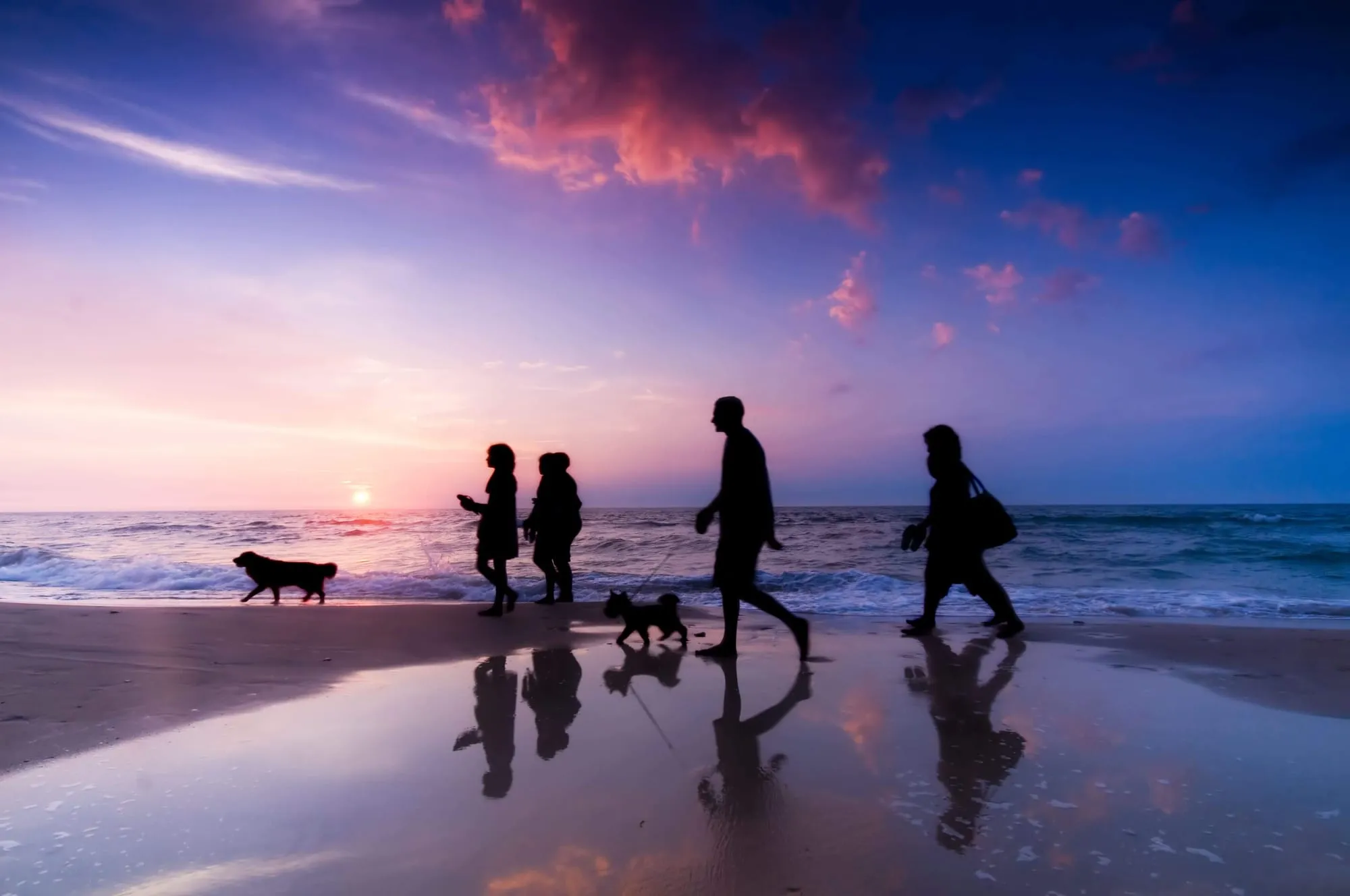 Silhouetten van wandelaars en honden op het natte strand onder een kleurrijke avondlucht